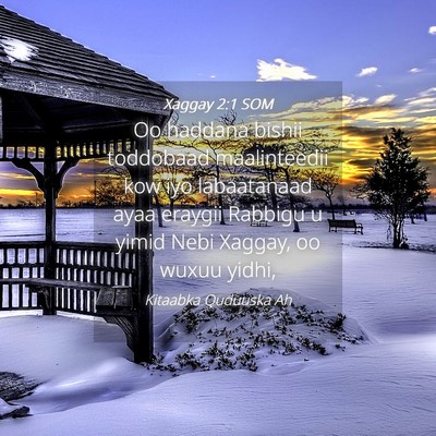 Picture 04 - Xaggay 2:1 SOM - Oo haddana bishii toddobaad maalinteedii kow iyo - Bible Verse Picture