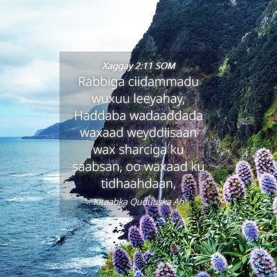 Picture 04 - Xaggay 2:11 SOM - Rabbiga ciidammadu wuxuu leeyahay, Haddaba - Bible Verse Picture