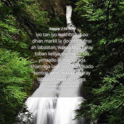 Picture 04 - Xaggay 2:16 SOM - iyo tan iyo wakhtigaas oo dhan markii la doonto - Bible Verse Picture