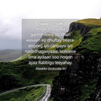 Picture 04 - Xaggay 2:17 SOM - Anigu shuqulka gacmihiinna oo dhan waxaan ku - Bible Verse Picture