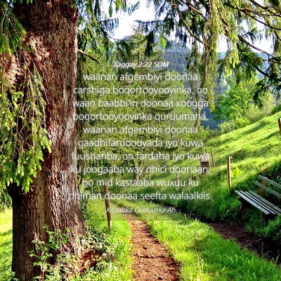 Picture 04 - Xaggay 2:22 SOM - waanan afgembiyi doonaa carshiga - Bible Verse Picture