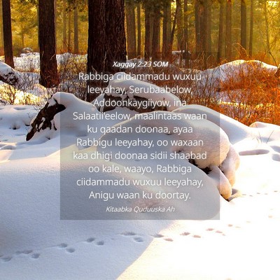 Picture 04 - Xaggay 2:23 SOM - Rabbiga ciidammadu wuxuu leeyahay, Serubaabelow, - Bible Verse Picture