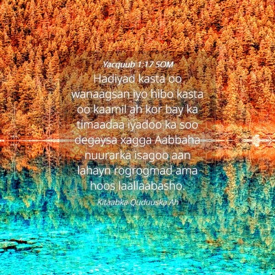 Picture 04 - Yacquub 1:17 SOM - Hadiyad kasta oo wanaagsan iyo hibo kasta oo - Bible Verse Picture