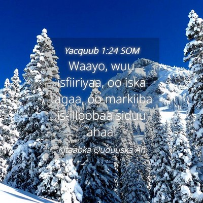 Picture 04 - Yacquub 1:24 SOM - Waayo, wuu isfiiriyaa, oo iska tagaa, oo markiiba - Bible Verse Picture
