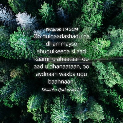 Picture 04 - Yacquub 1:4 SOM - Oo dulqaadashadu ha dhammayso shuqulkeeda si aad - Bible Verse Picture