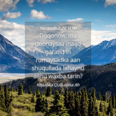 Picture 04 - Yacquub 2:20 SOM - Doqonow, ma doonaysaa inaad garatid in rumaysadka - Bible Verse Picture