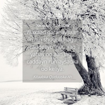 Picture 04 - Yacquub 2:24 SOM - Waxaad garanaysaan in nin shuqullo lagu caddeeyo - Bible Verse Picture
