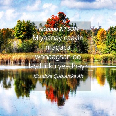 Picture 04 - Yacquub 2:7 SOM - Miyaanay caayin magaca wanaagsan oo laydiinku - Bible Verse Picture