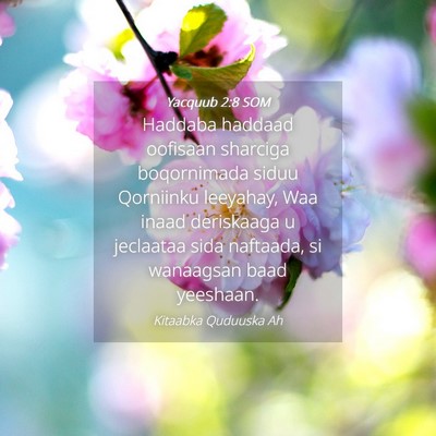 Picture 04 - Yacquub 2:8 SOM - Haddaba haddaad oofisaan sharciga boqornimada - Bible Verse Picture