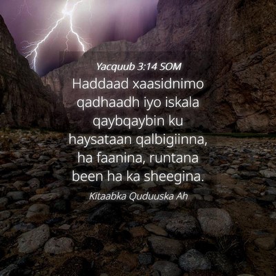 Picture 04 - Yacquub 3:14 SOM - Haddaad xaasidnimo qadhaadh iyo iskala qaybqaybin - Bible Verse Picture