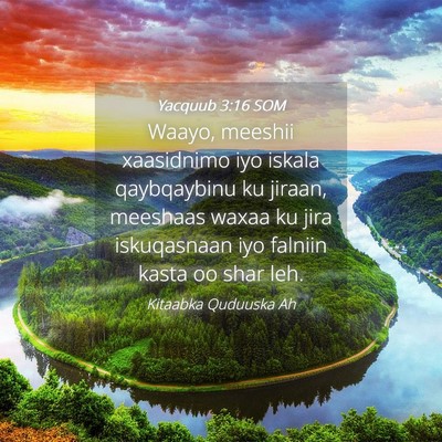 Picture 04 - Yacquub 3:16 SOM - Waayo, meeshii xaasidnimo iyo iskala qaybqaybinu - Bible Verse Picture