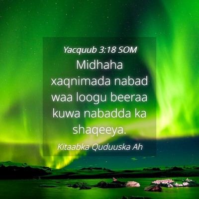 Picture 04 - Yacquub 3:18 SOM - Midhaha xaqnimada nabad waa loogu beeraa kuwa - Bible Verse Picture