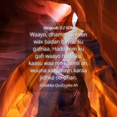 Picture 04 - Yacquub 3:2 SOM - Waayo, dhammaanteen wax badan baynu ku gafnaa. - Bible Verse Picture