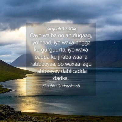 Picture 04 - Yacquub 3:7 SOM - Cayn walba oo ah dugaag, iyo haad, iyo waxa bogga - Bible Verse Picture