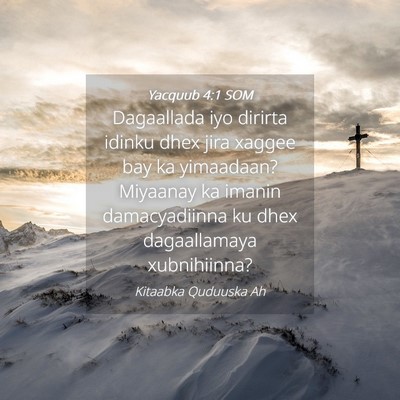 Picture 04 - Yacquub 4:1 SOM - Dagaallada iyo dirirta idinku dhex jira xaggee - Bible Verse Picture