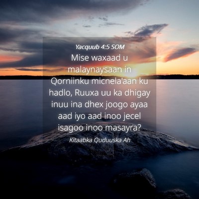 Picture 04 - Yacquub 4:5 SOM - Mise waxaad u malaynaysaan in Qorniinku - Bible Verse Picture