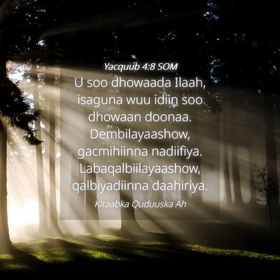 Picture 04 - Yacquub 4:8 SOM - U soo dhowaada Ilaah, isaguna wuu idiin soo - Bible Verse Picture