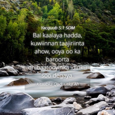 Picture 04 - Yacquub 5:1 SOM - Bal kaalaya hadda, kuwiinnan taajiriinta ahow, - Bible Verse Picture