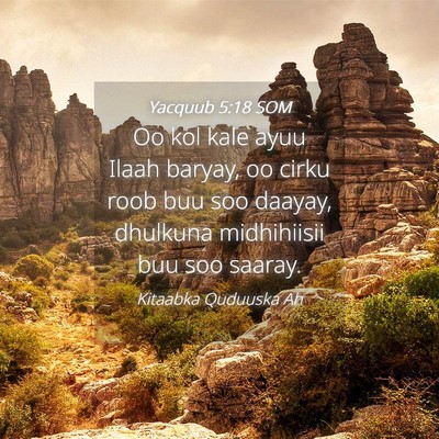 Picture 04 - Yacquub 5:18 SOM - Oo kol kale ayuu Ilaah baryay, oo cirku roob buu - Bible Verse Picture
