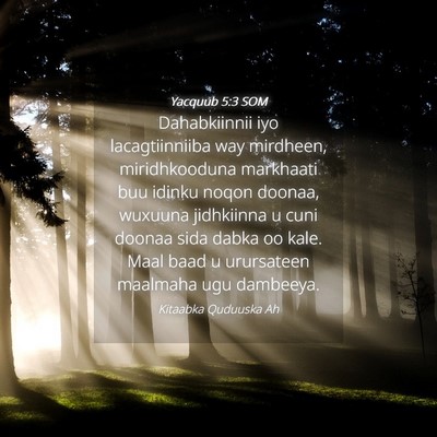 Picture 04 - Yacquub 5:3 SOM - Dahabkiinnii iyo lacagtiinniiba way mirdheen, - Bible Verse Picture