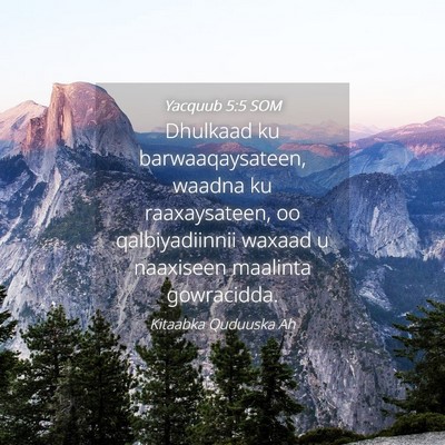 Picture 04 - Yacquub 5:5 SOM - Dhulkaad ku barwaaqaysateen, waadna ku - Bible Verse Picture