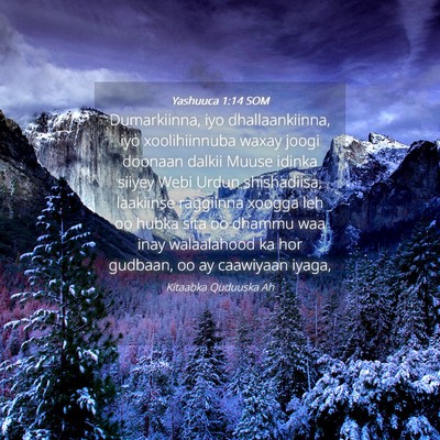 Picture 04 - Yashuuca 1:14 SOM - Dumarkiinna, iyo dhallaankiinna, iyo - Bible Verse Picture