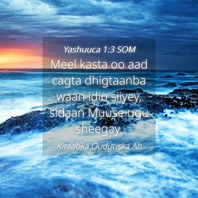Picture 04 - Yashuuca 1:3 SOM - Meel kasta oo aad cagta dhigtaanba waan idin - Bible Verse Picture