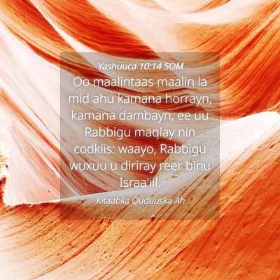 Picture 04 - Yashuuca 10:14 SOM - Oo maalintaas maalin la mid ahu kamana horrayn, - Bible Verse Picture