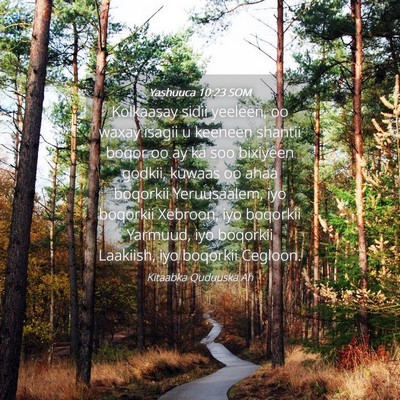 Picture 04 - Yashuuca 10:23 SOM - Kolkaasay sidii yeeleen, oo waxay isagii u - Bible Verse Picture