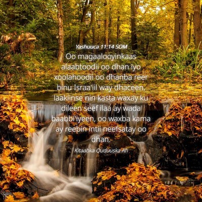 Picture 04 - Yashuuca 11:14 SOM - Oo magaalooyinkaas alaabtoodii oo dhan iyo - Bible Verse Picture