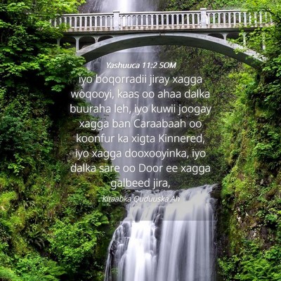 Picture 04 - Yashuuca 11:2 SOM - iyo boqorradii jiray xagga woqooyi, kaas oo ahaa - Bible Verse Picture