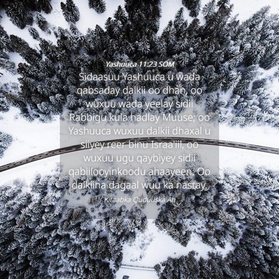 Picture 04 - Yashuuca 11:23 SOM - Sidaasuu Yashuuca u wada qabsaday dalkii oo dhan, - Bible Verse Picture