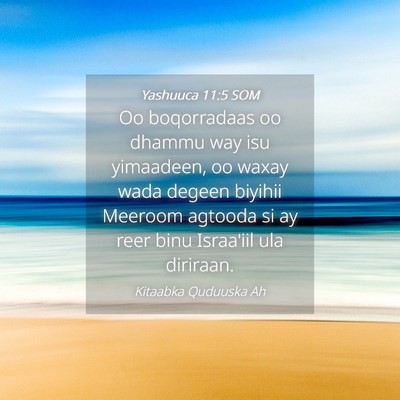 Picture 04 - Yashuuca 11:5 SOM - Oo boqorradaas oo dhammu way isu yimaadeen, oo - Bible Verse Picture