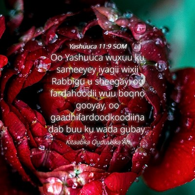 Picture 04 - Yashuuca 11:9 SOM - Oo Yashuuca wuxuu ku sameeyey iyagii wixii - Bible Verse Picture