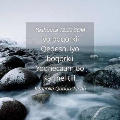 Picture 04 - Yashuuca 12:22 SOM - iyo boqorkii Qedesh, iyo boqorkii Yoqnecaam oo - Bible Verse Picture
