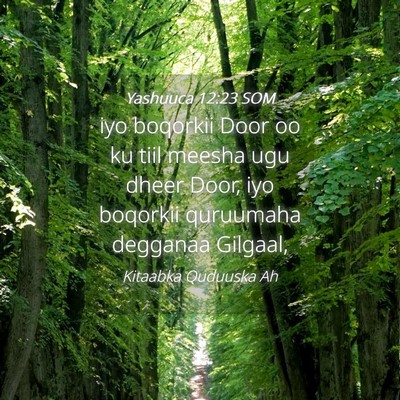 Picture 04 - Yashuuca 12:23 SOM - iyo boqorkii Door oo ku tiil meesha ugu dheer - Bible Verse Picture