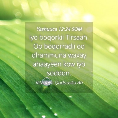 Picture 04 - Yashuuca 12:24 SOM - iyo boqorkii Tirsaah. Oo boqorradii oo dhammuna - Bible Verse Picture
