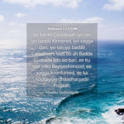 Picture 04 - Yashuuca 12:3 SOM - iyo bankii Caraabaah iyo tan iyo baddii Kinnered, - Bible Verse Picture