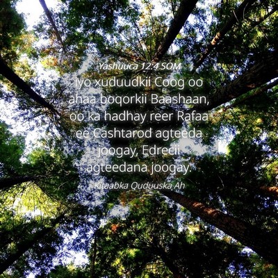 Picture 04 - Yashuuca 12:4 SOM - iyo xuduudkii Coog oo ahaa boqorkii Baashaan, oo - Bible Verse Picture