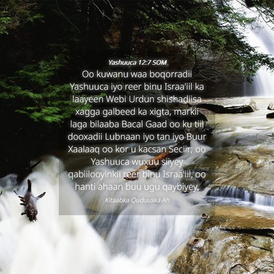 Picture 04 - Yashuuca 12:7 SOM - Oo kuwanu waa boqorradii Yashuuca iyo reer binu - Bible Verse Picture