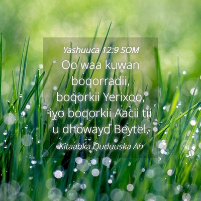 Picture 04 - Yashuuca 12:9 SOM - Oo waa kuwan boqorradii, boqorkii Yerixoo, iyo - Bible Verse Picture