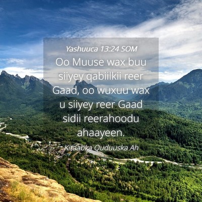 Picture 04 - Yashuuca 13:24 SOM - Oo Muuse wax buu siiyey qabiilkii reer Gaad, oo - Bible Verse Picture