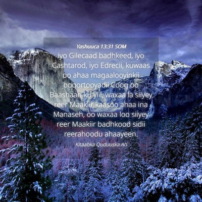 Picture 04 - Yashuuca 13:31 SOM - iyo Gilecaad badhkeed, iyo Cashtarod, iyo - Bible Verse Picture