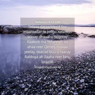 Picture 04 - Yashuuca 14:14 SOM - Sidaas daraaddeed ilaa maantadan la joogo Xebroon - Bible Verse Picture