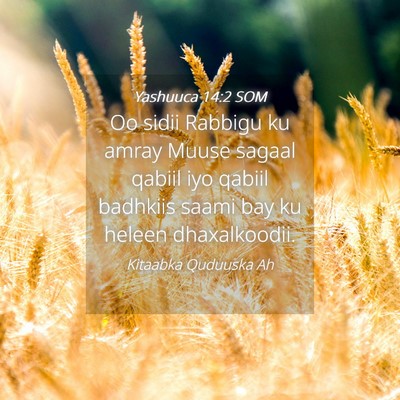 Picture 04 - Yashuuca 14:2 SOM - Oo sidii Rabbigu ku amray Muuse sagaal qabiil iyo - Bible Verse Picture