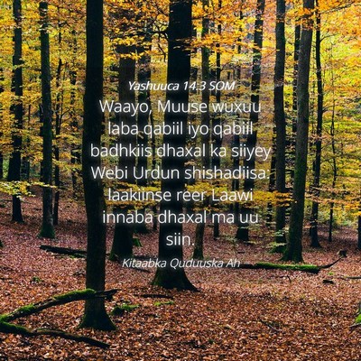 Picture 04 - Yashuuca 14:3 SOM - Waayo, Muuse wuxuu laba qabiil iyo qabiil - Bible Verse Picture