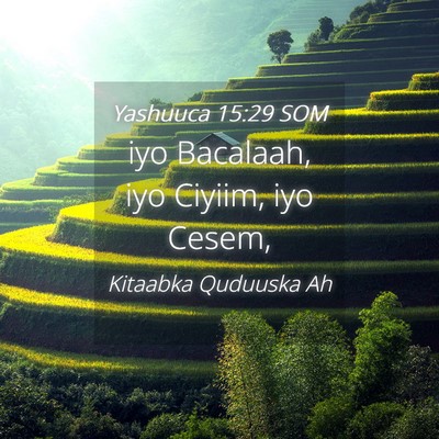 Picture 04 - Yashuuca 15:29 SOM - iyo Bacalaah, iyo Ciyiim, iyo - Bible Verse Picture