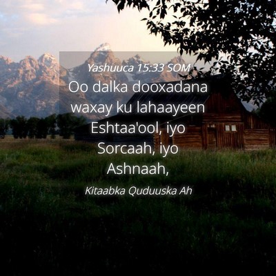 Picture 04 - Yashuuca 15:33 SOM - Oo dalka dooxadana waxay ku lahaayeen Eshtaa'ool, - Bible Verse Picture
