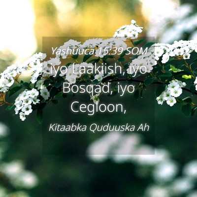 Picture 04 - Yashuuca 15:39 SOM - iyo Laakiish, iyo Bosqad, iyo - Bible Verse Picture