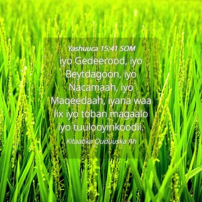 Picture 04 - Yashuuca 15:41 SOM - iyo Gedeerood, iyo Beytdagoon, iyo Nacamaah, iyo - Bible Verse Picture